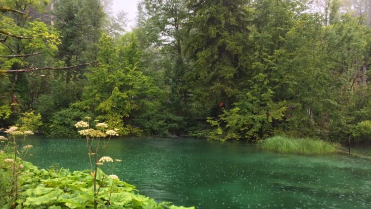 Plitvice Gölleri Milli Parkı