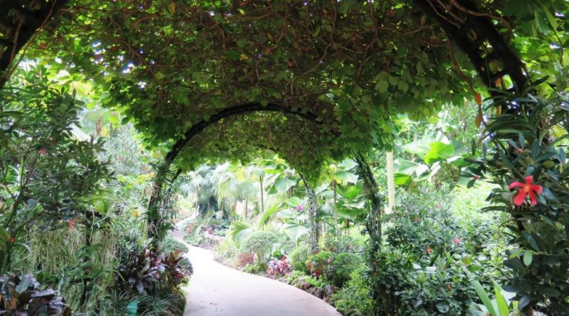 singapore_botanic_gardens.JPG